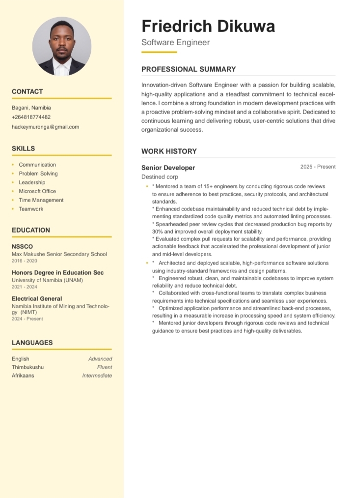 Professional resume template preview